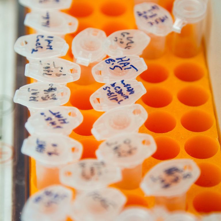 DNA-analyse in Rotterdam-Rijnmond via Mzani