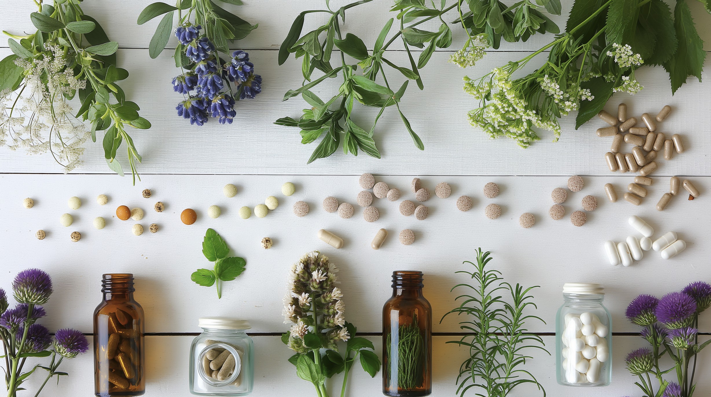 Fytotherapie in Alblasserdam en Rotterdam-Pernis